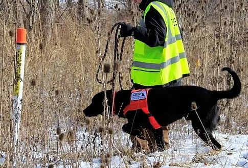 Pipeline Leak Detection