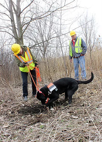 k9 Pipeline Leak Detection