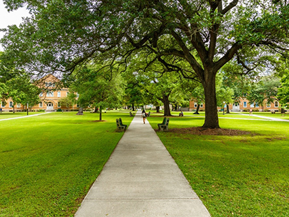 Canada Geese Presence on University Campus Reduced by 78%